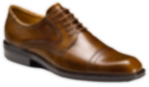 zapato forma windsor ecco