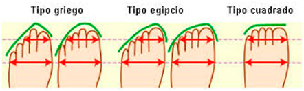 tipos de pies